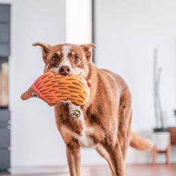 Red Dingo Durables Holdbar Bamse Myrepindsvinet Eddie